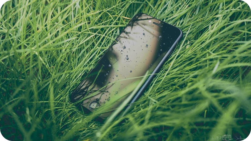 Iphone dans l'herbe pour illustrer l'abandon des téléphones